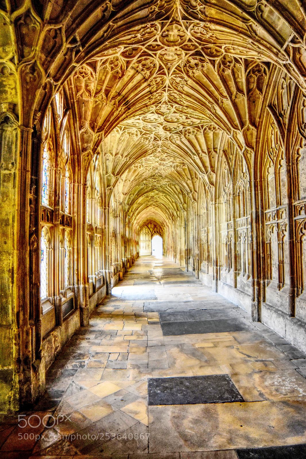 Nikon D5500 sample photo. Harry potter photography