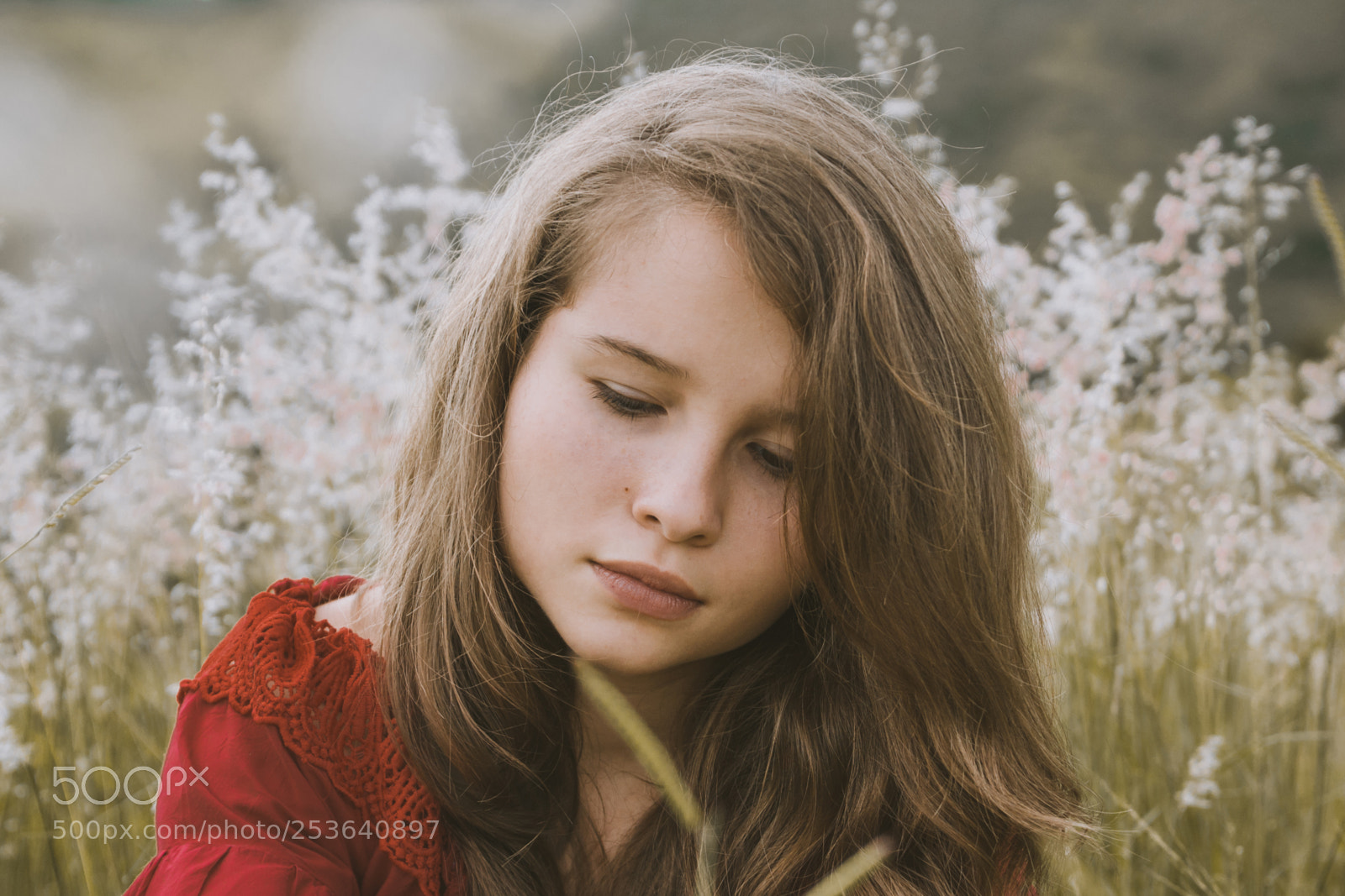 Nikon D3100 sample photo. Nicolly | foto ana francisconi photography