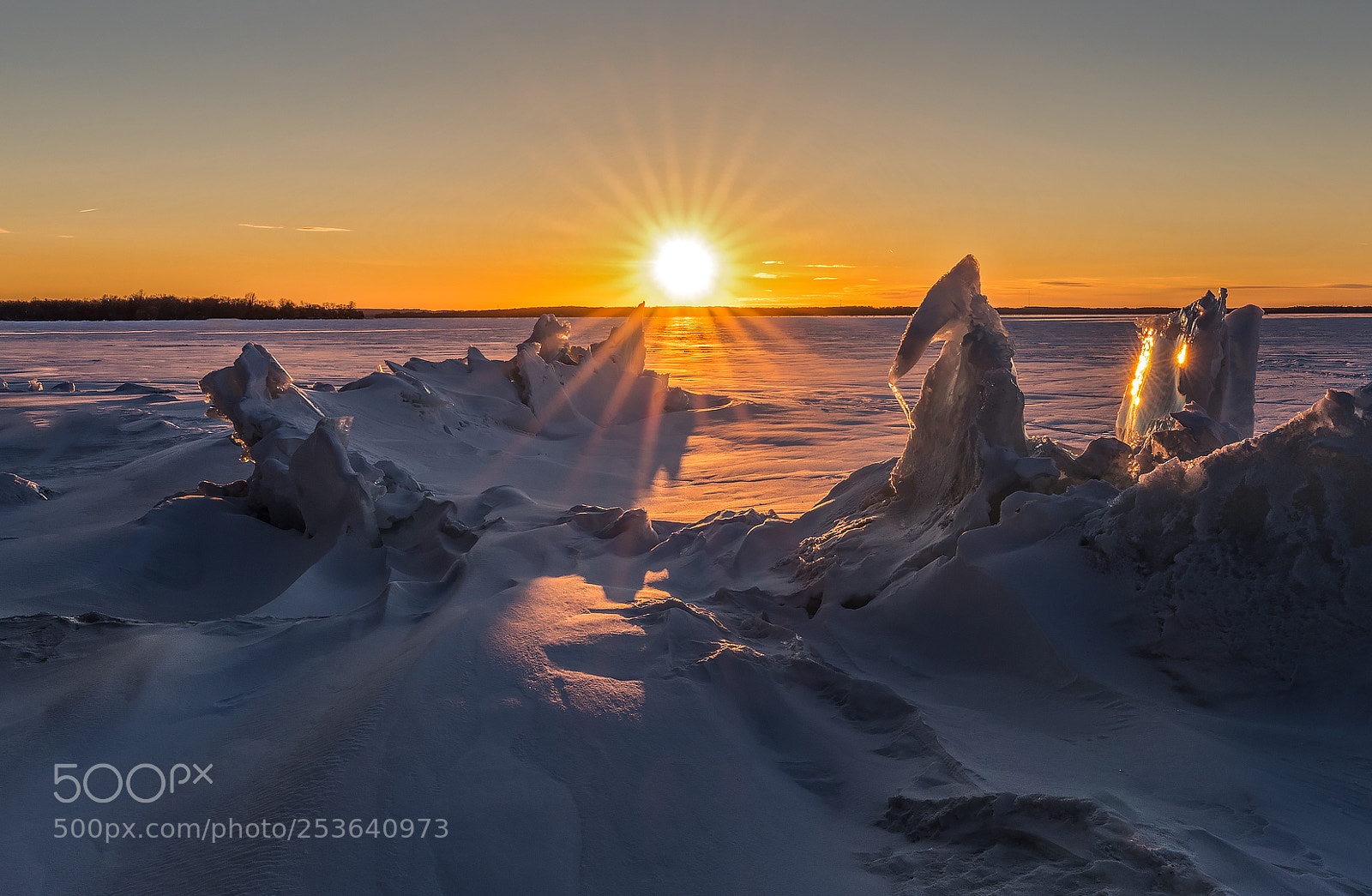 Sony a7R III sample photo. Ice creations photography