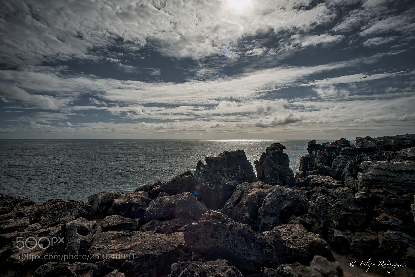 Nikon D800E sample photo. Atlantic photography