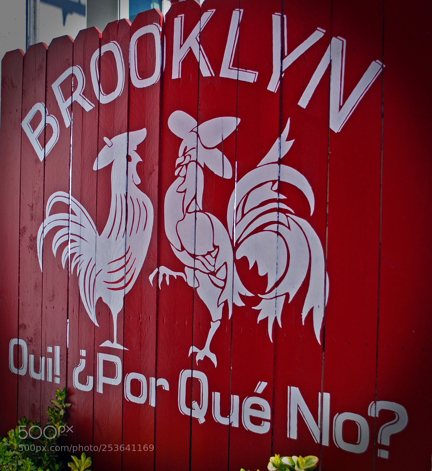 Nikon D80 sample photo. Brooklyn oui por que photography