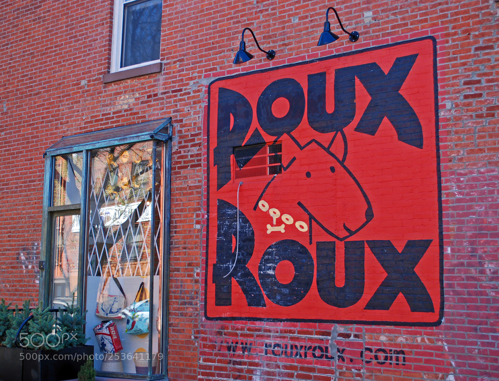 Nikon D80 sample photo. Roux roux in brooklyn photography