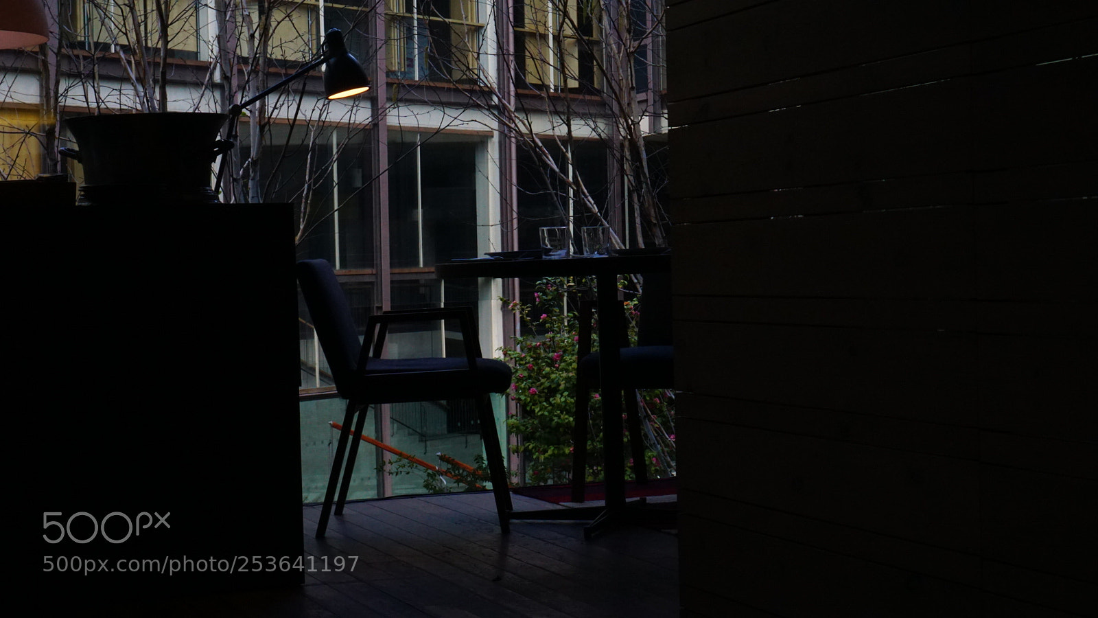 Sony a6000 sample photo. Untitled photography