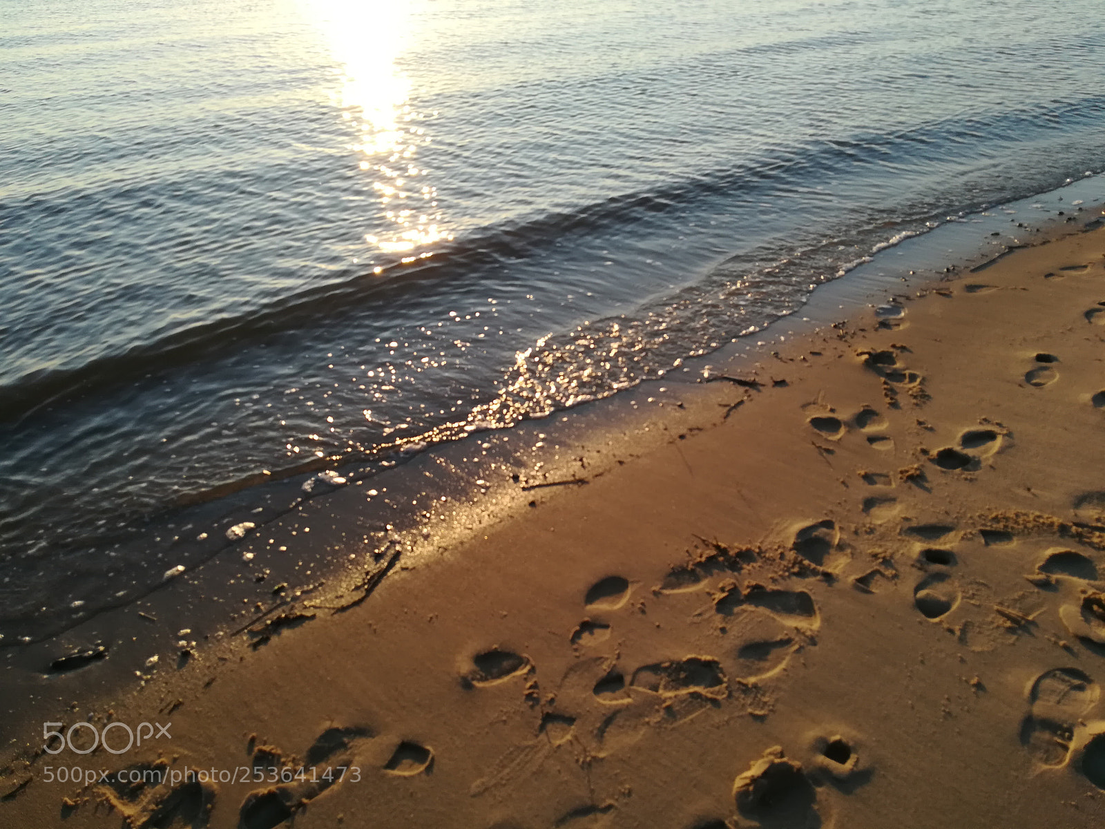 HUAWEI PRA-LX1 sample photo. Untitled photography
