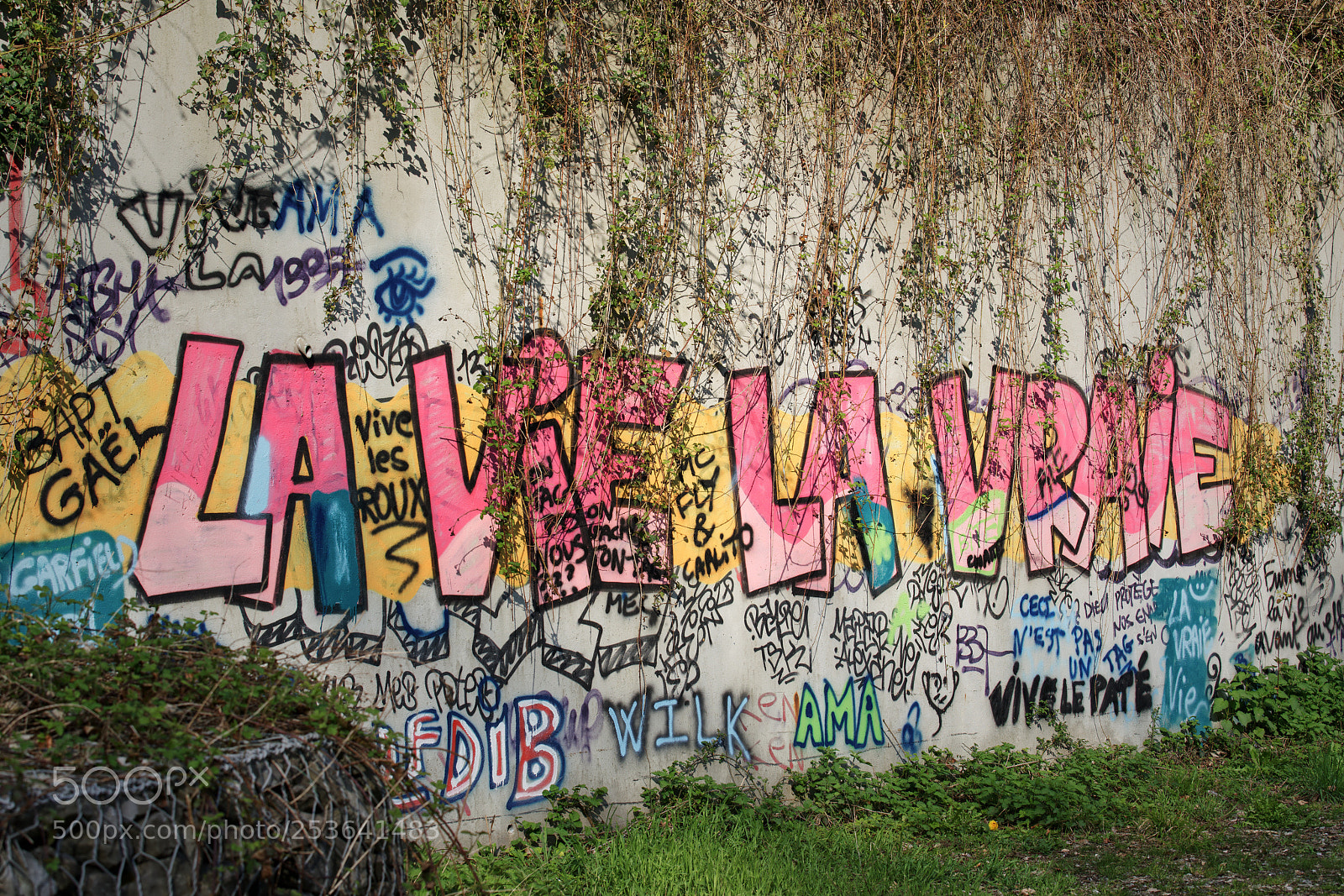 Sony a7R III sample photo. Tag positif  photography