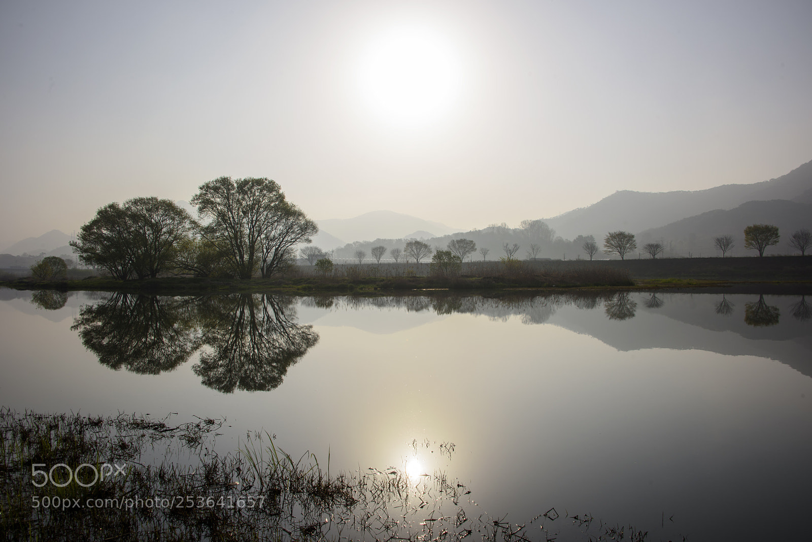 Nikon D810 sample photo. Foggy morning photography