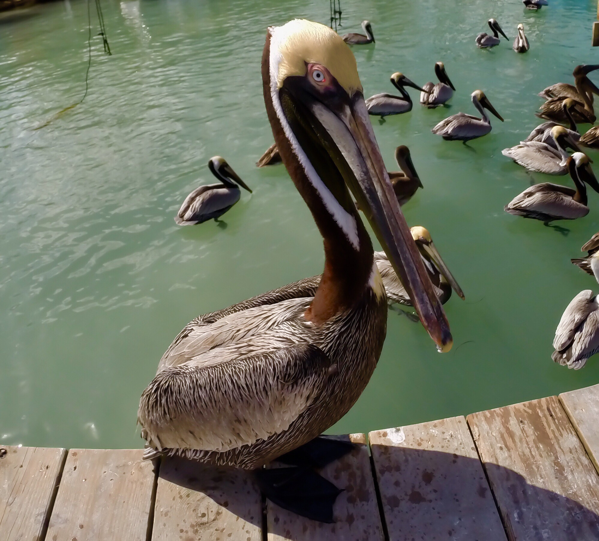 GoPro HERO3+ Black Edition sample photo
