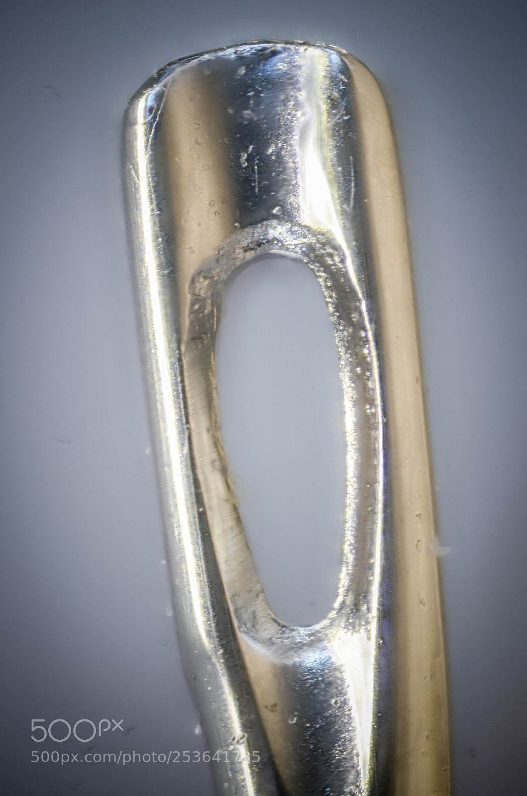 Nikon D7000 sample photo. (a radiussmoothing) photography