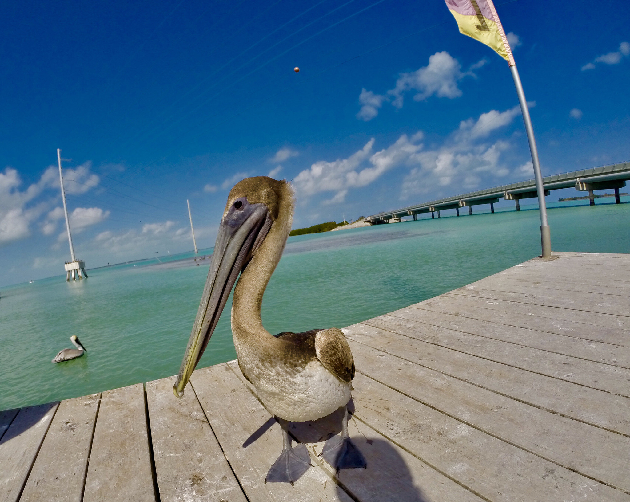 GoPro HERO3+ Black Edition sample photo