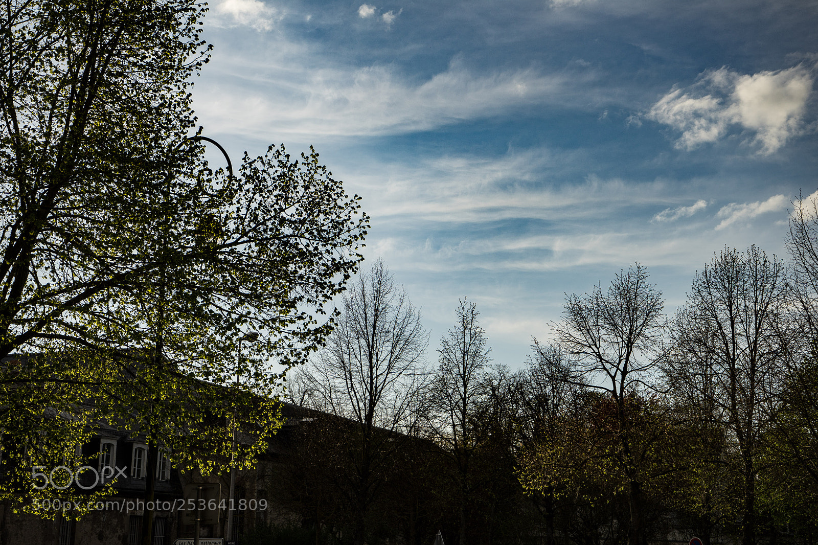 Sony a7 sample photo. Untitled photography