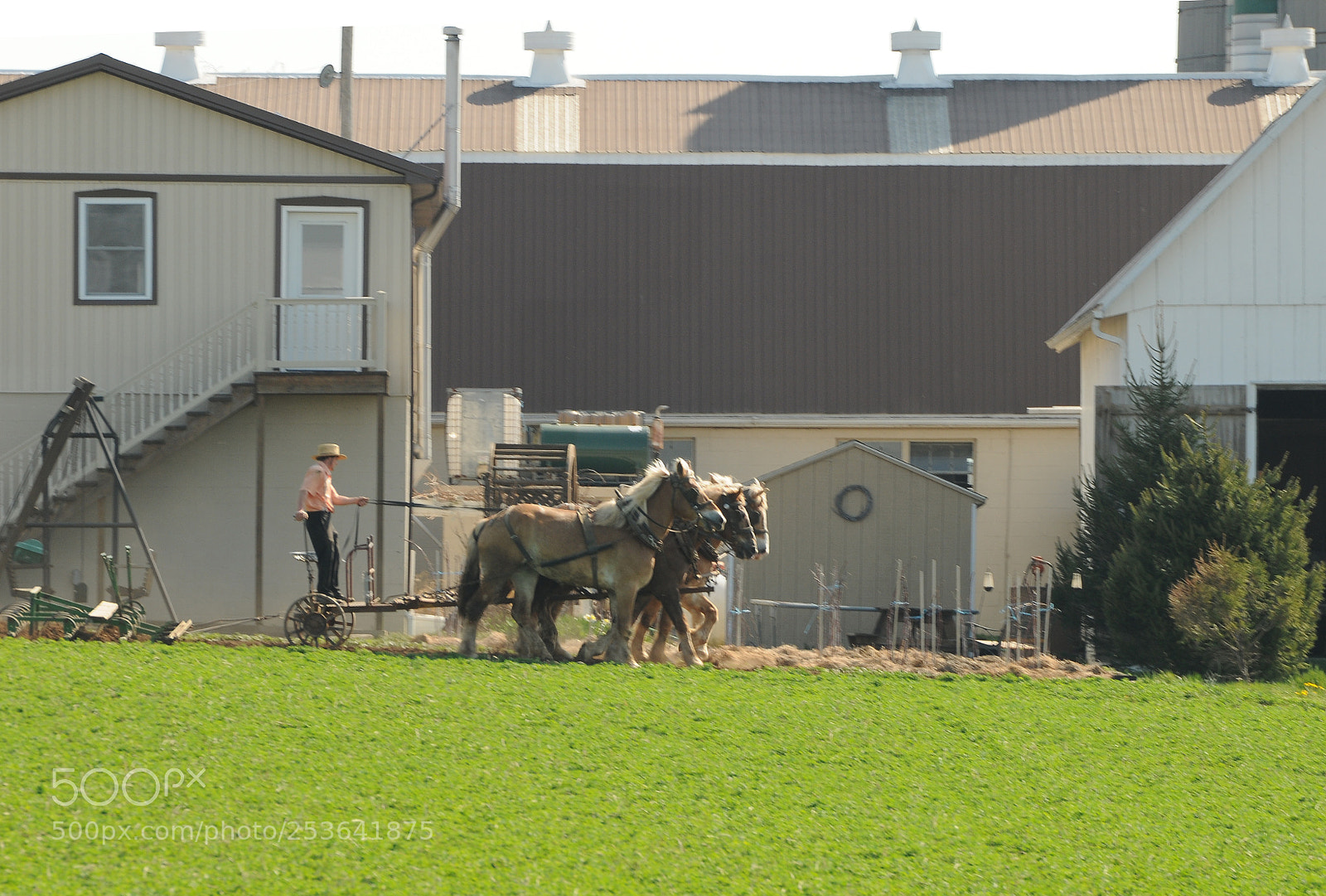 Nikon D300 sample photo. Amish man working his photography