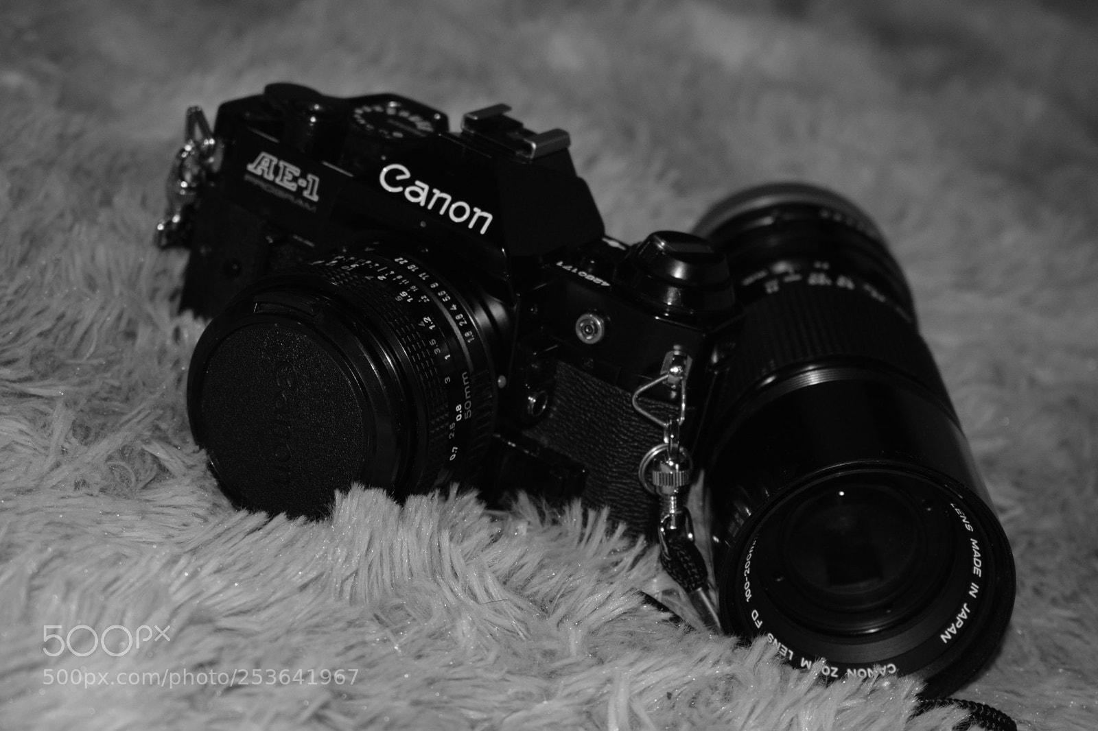 Nikon D3300 sample photo. Item de colecionador! ❤? photography