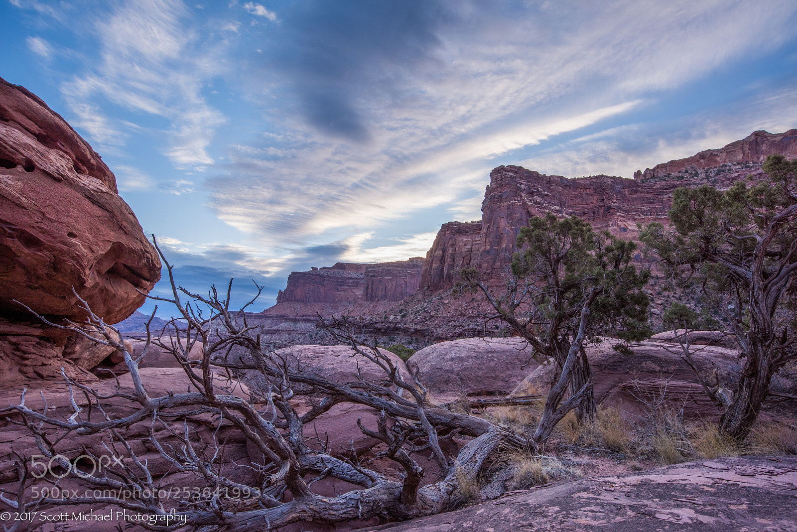 Nikon D810 sample photo. Canyon bottom sunrise photography