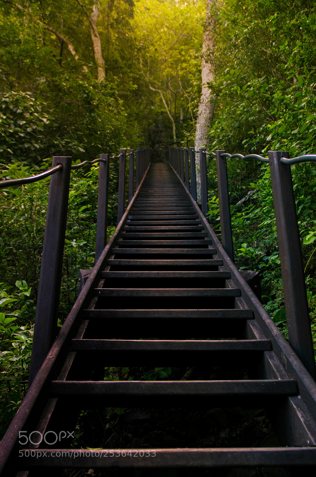 Nikon D7000 sample photo. Stairs photography