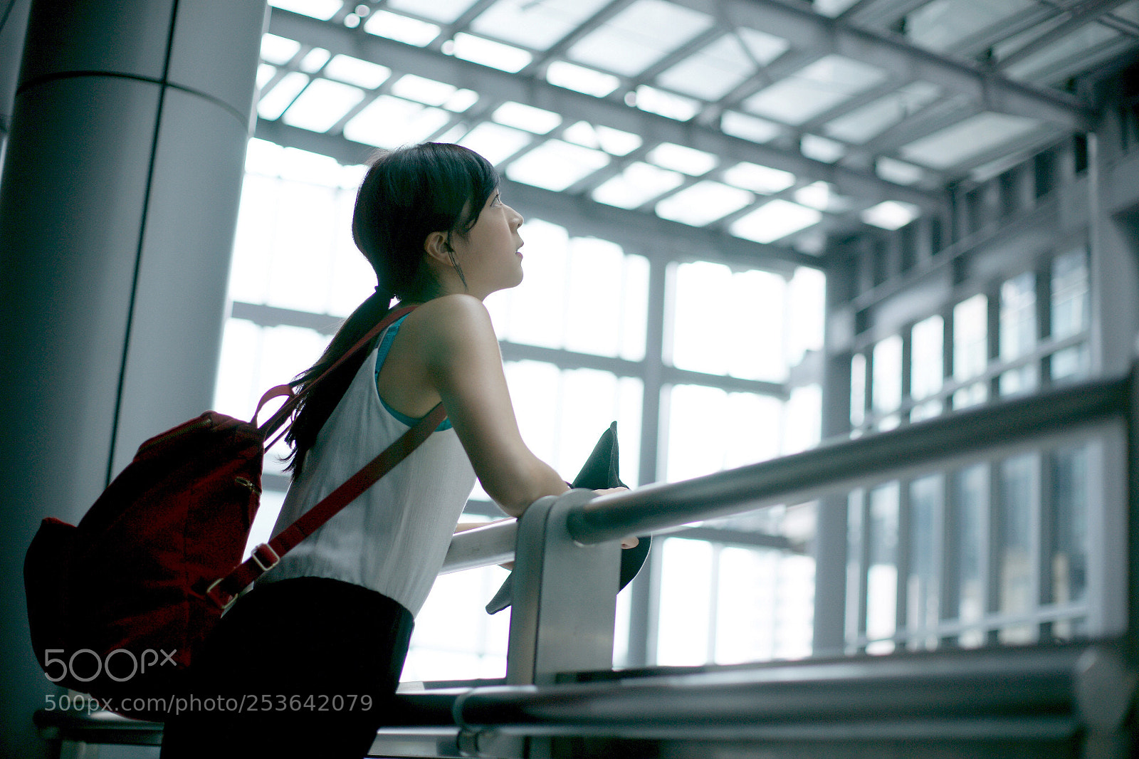 Sony Alpha DSLR-A850 sample photo. Chen photography