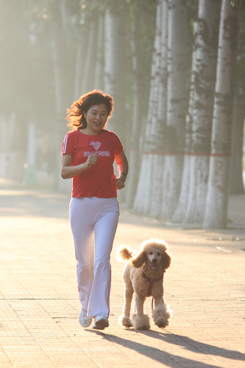 Canon EOS 40D sample photo. 晨曦 photography