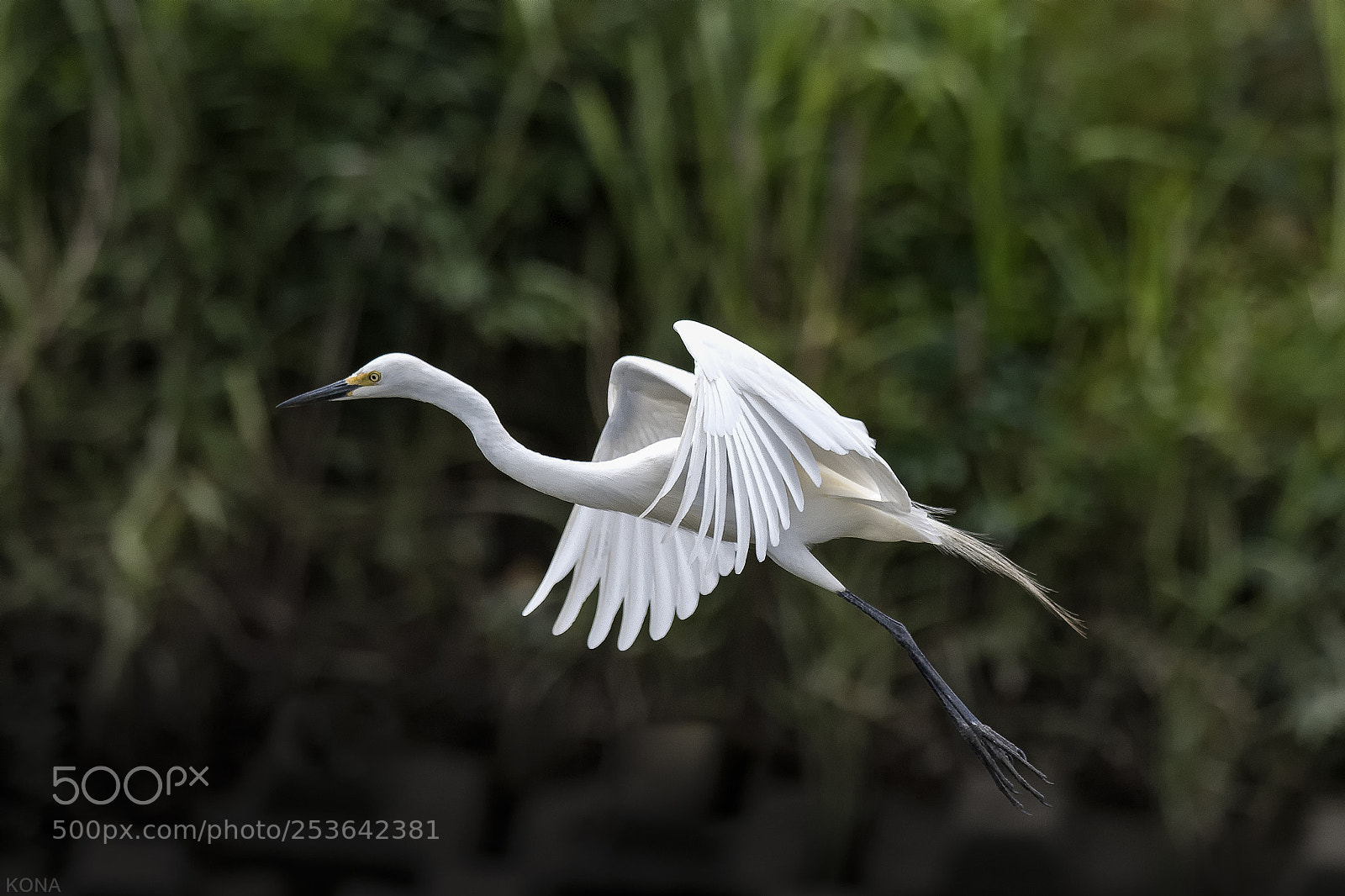 Nikon D810 sample photo. Sagi photography