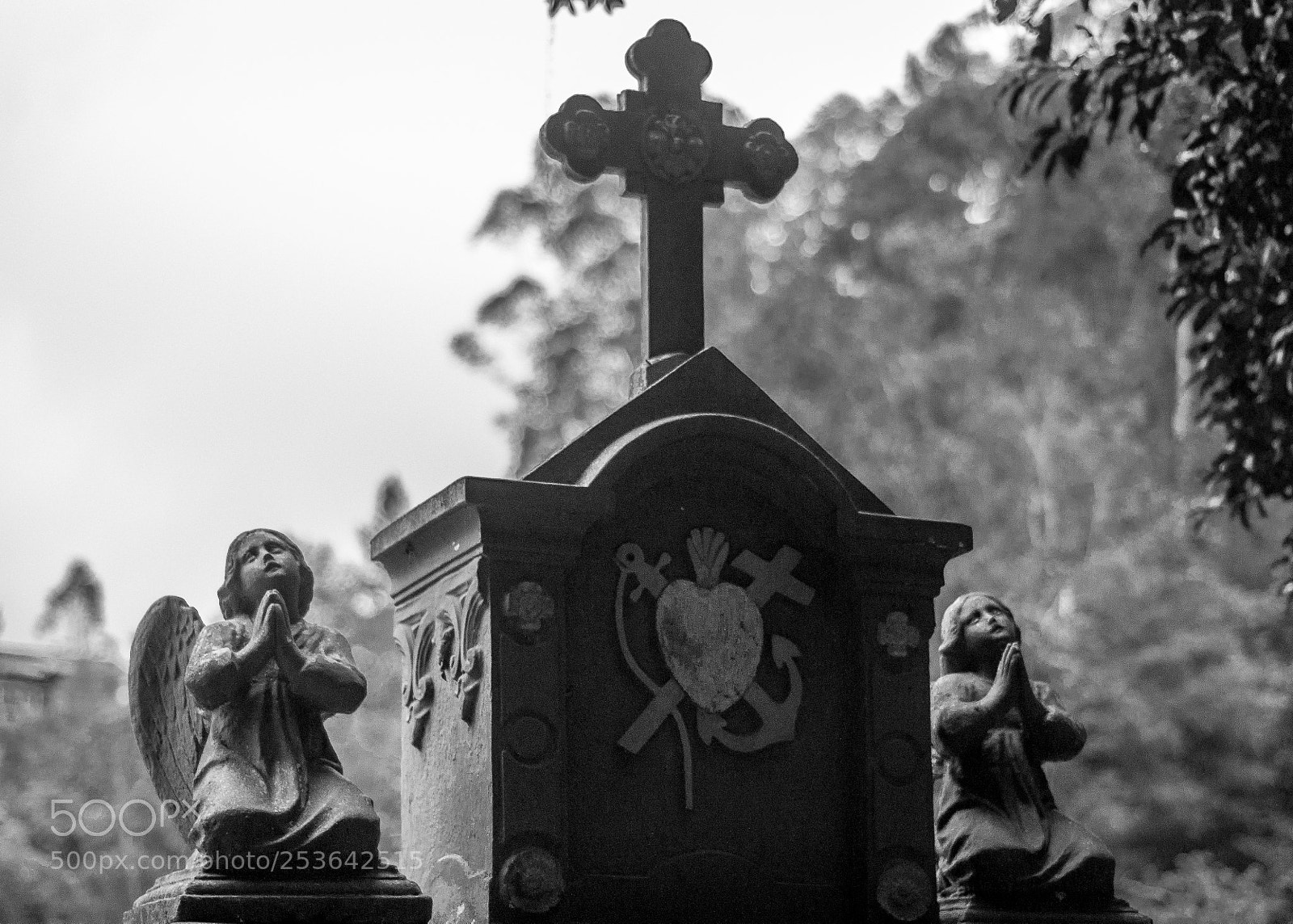 Nikon D3100 sample photo. Amor e tempo photography