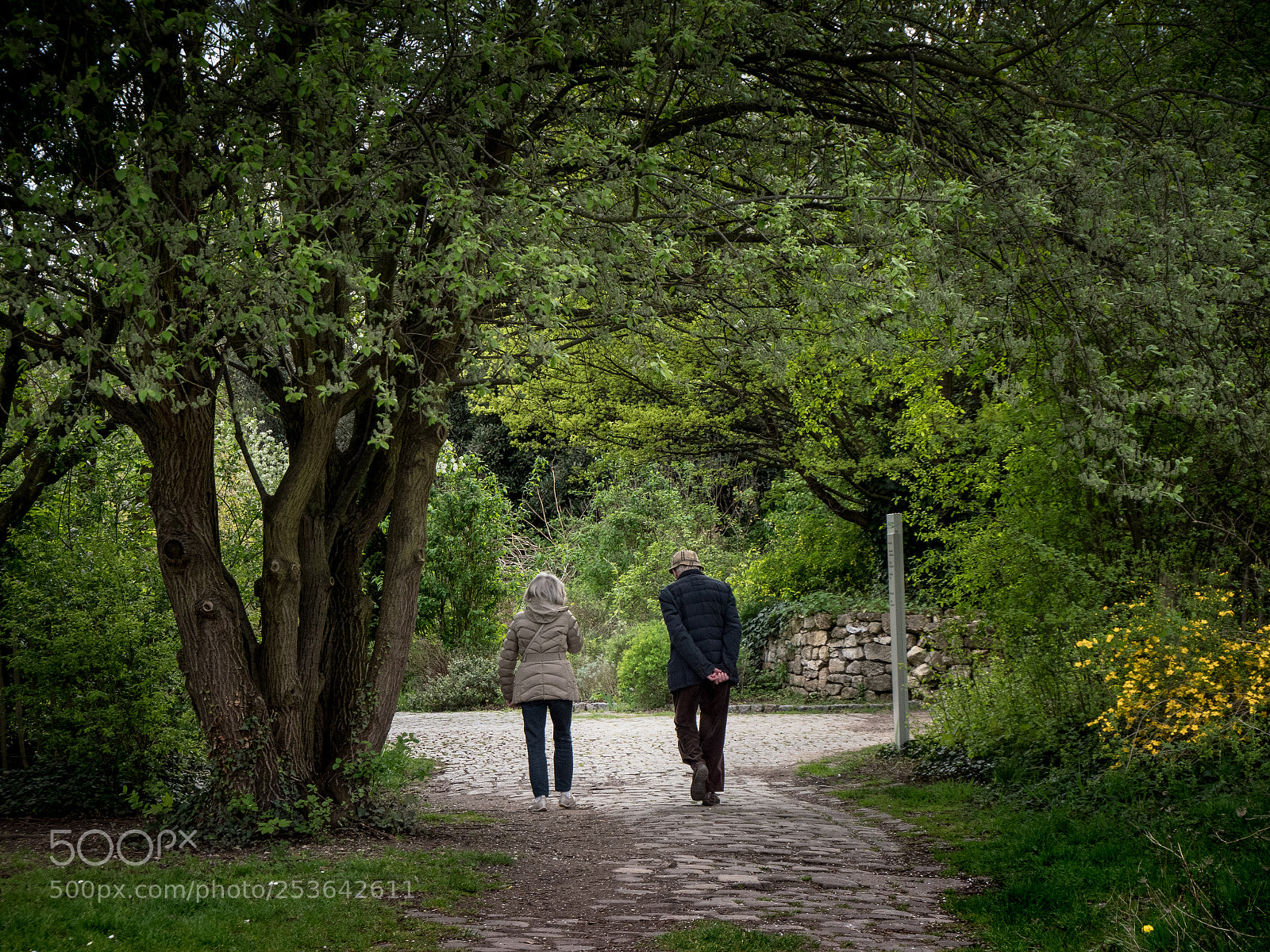 Panasonic Lumix DMC-GX8 sample photo. The walk photography
