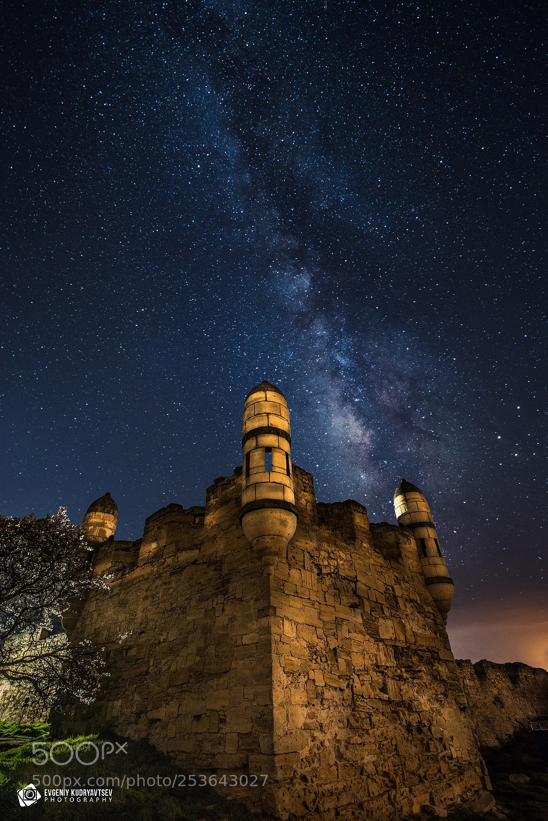 Nikon D810 sample photo. Old fortress photography