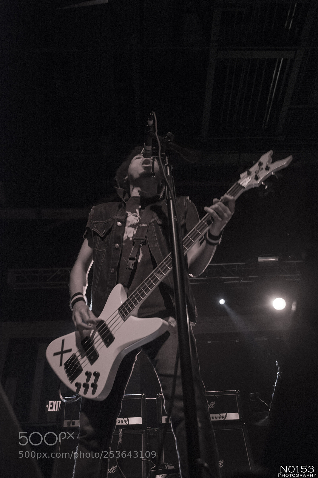 Nikon D7200 sample photo. Radkey photography