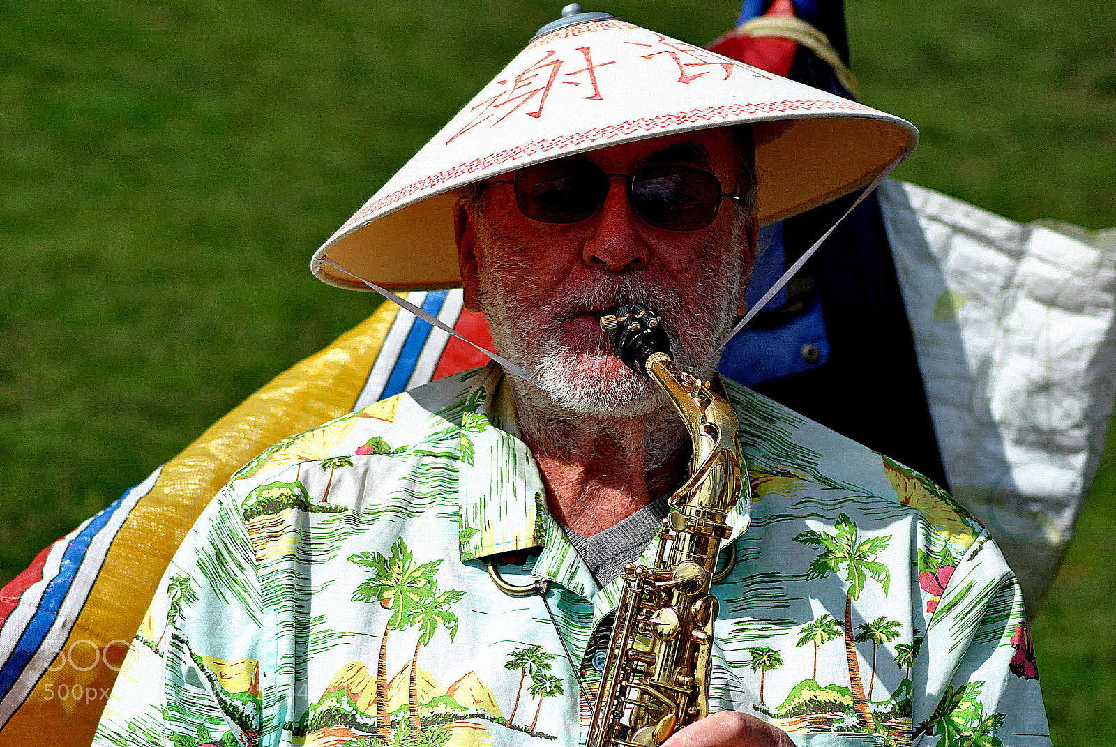 Nikon D3000 sample photo. Mouth  makes music photography