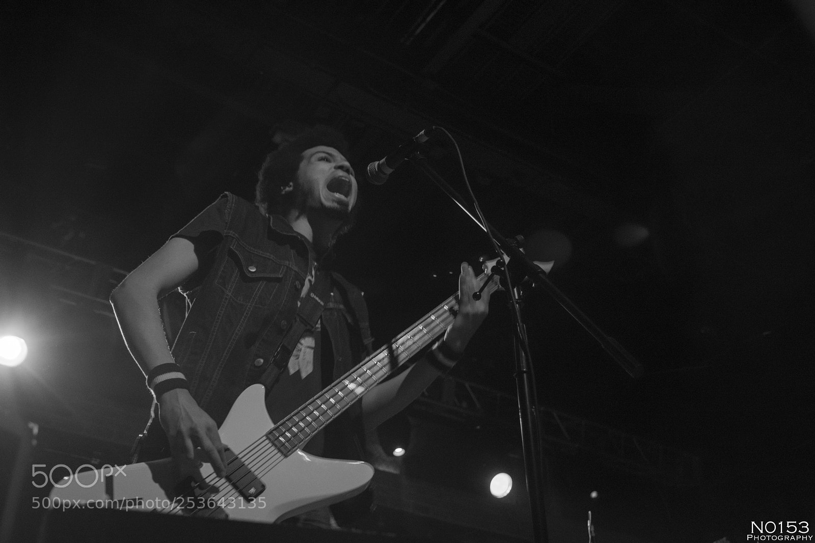 Nikon D7200 sample photo. Radkey photography