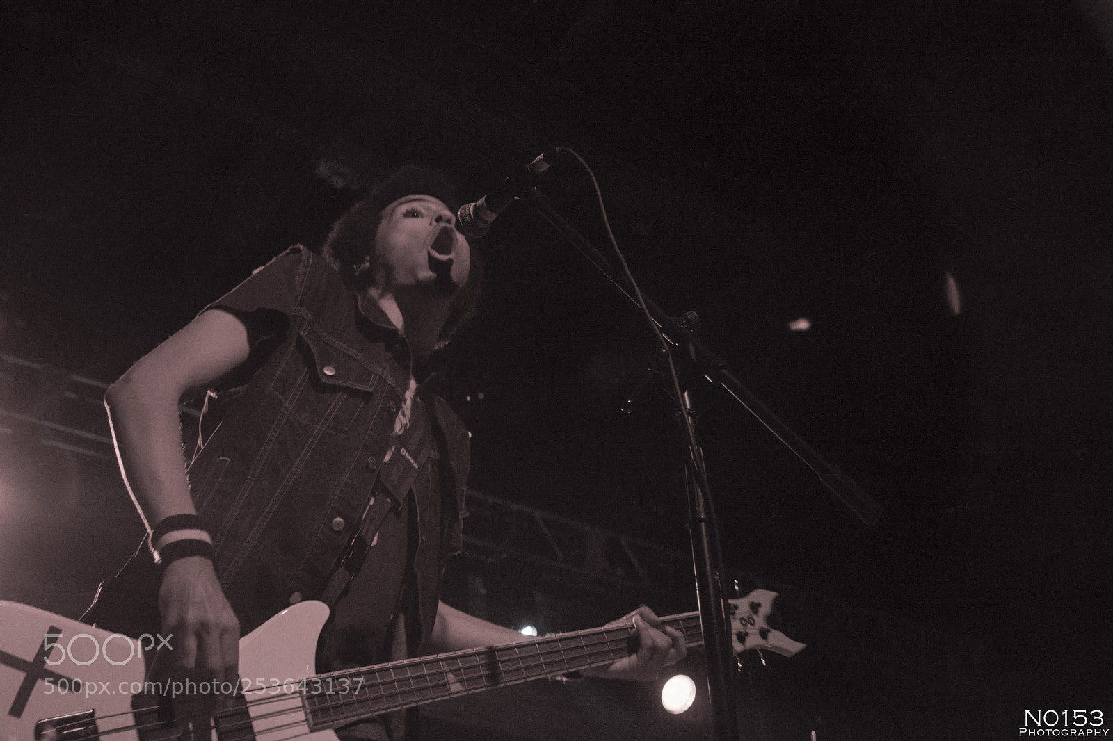 Nikon D7200 sample photo. Radkey photography