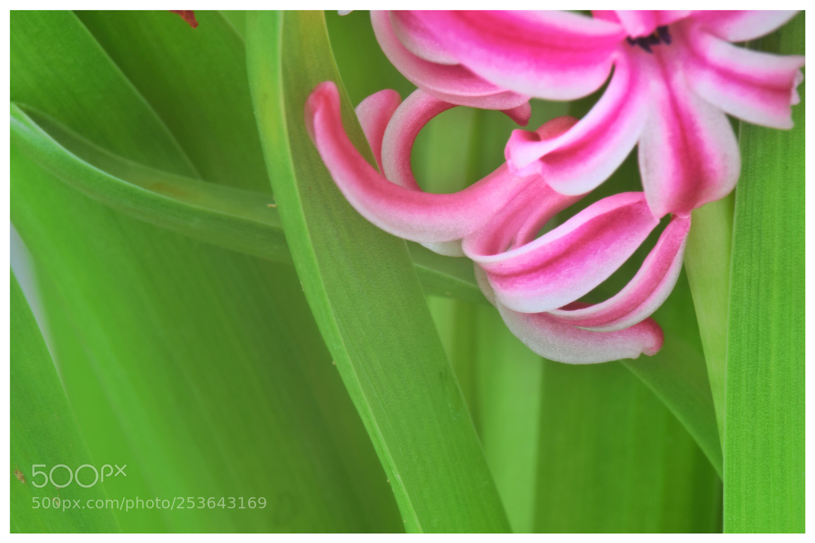 Nikon D3300 sample photo. Untitled photography
