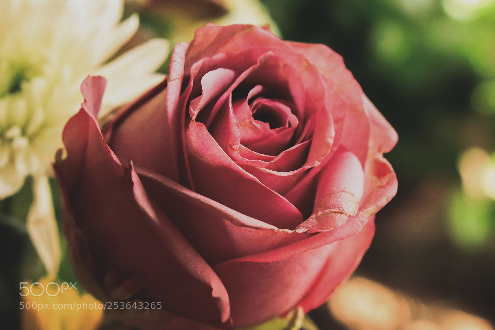 Canon EOS 80D sample photo. Untitled photography
