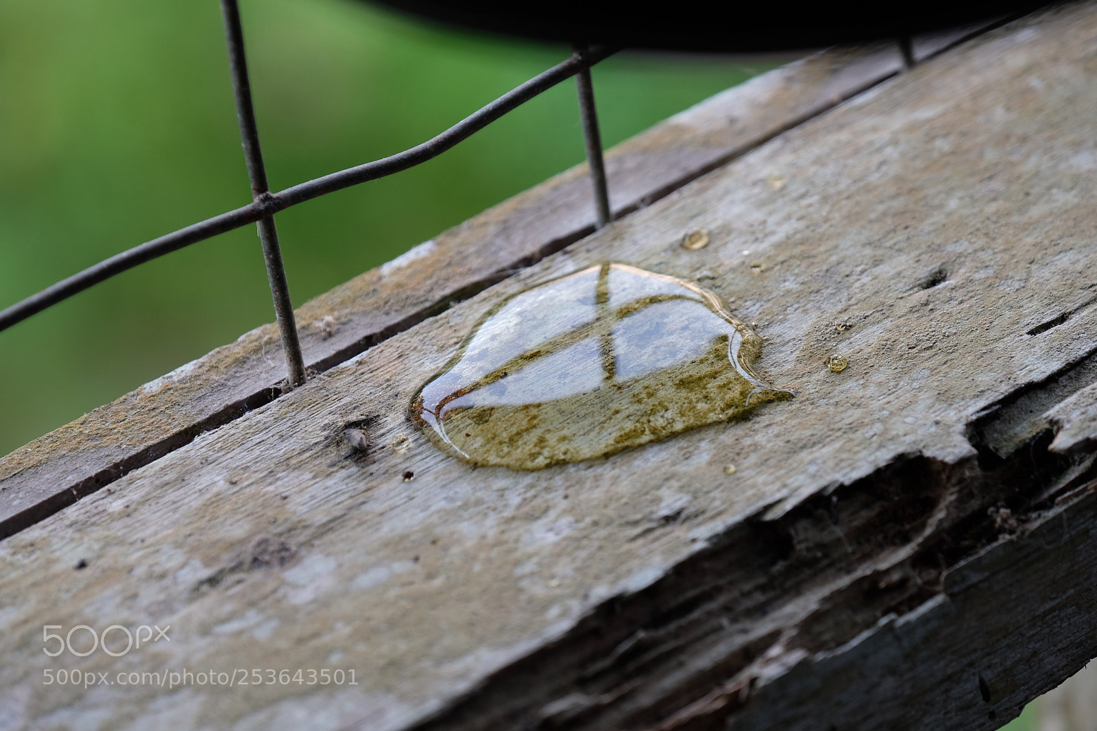 Fujifilm X-T20 sample photo. Closer photography