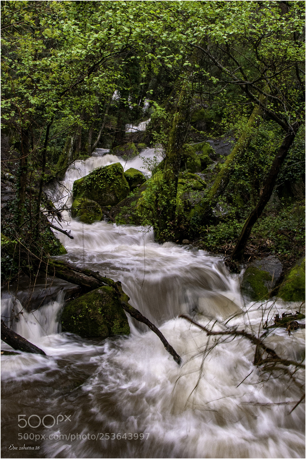 Nikon D300 sample photo. Cuando el rio suena.... photography