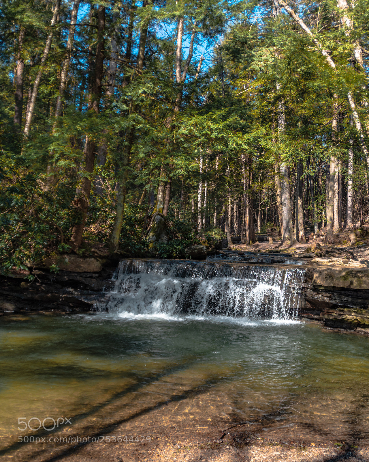 Nikon D7200 sample photo. Tolliver falls at swallow photography