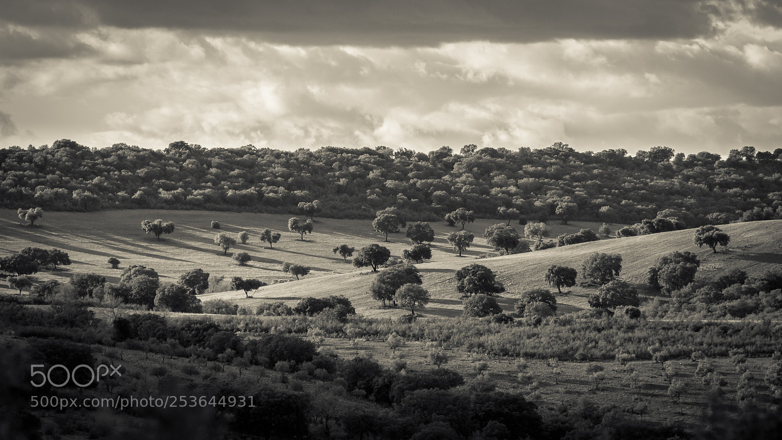 Canon EOS 650D (EOS Rebel T4i / EOS Kiss X6i) sample photo. Spanish countryside photography
