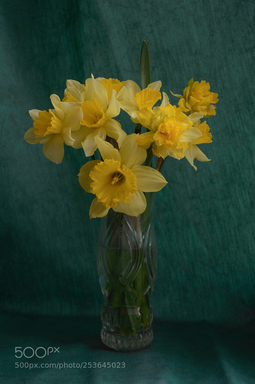Nikon D3200 sample photo. Нарцисы photography