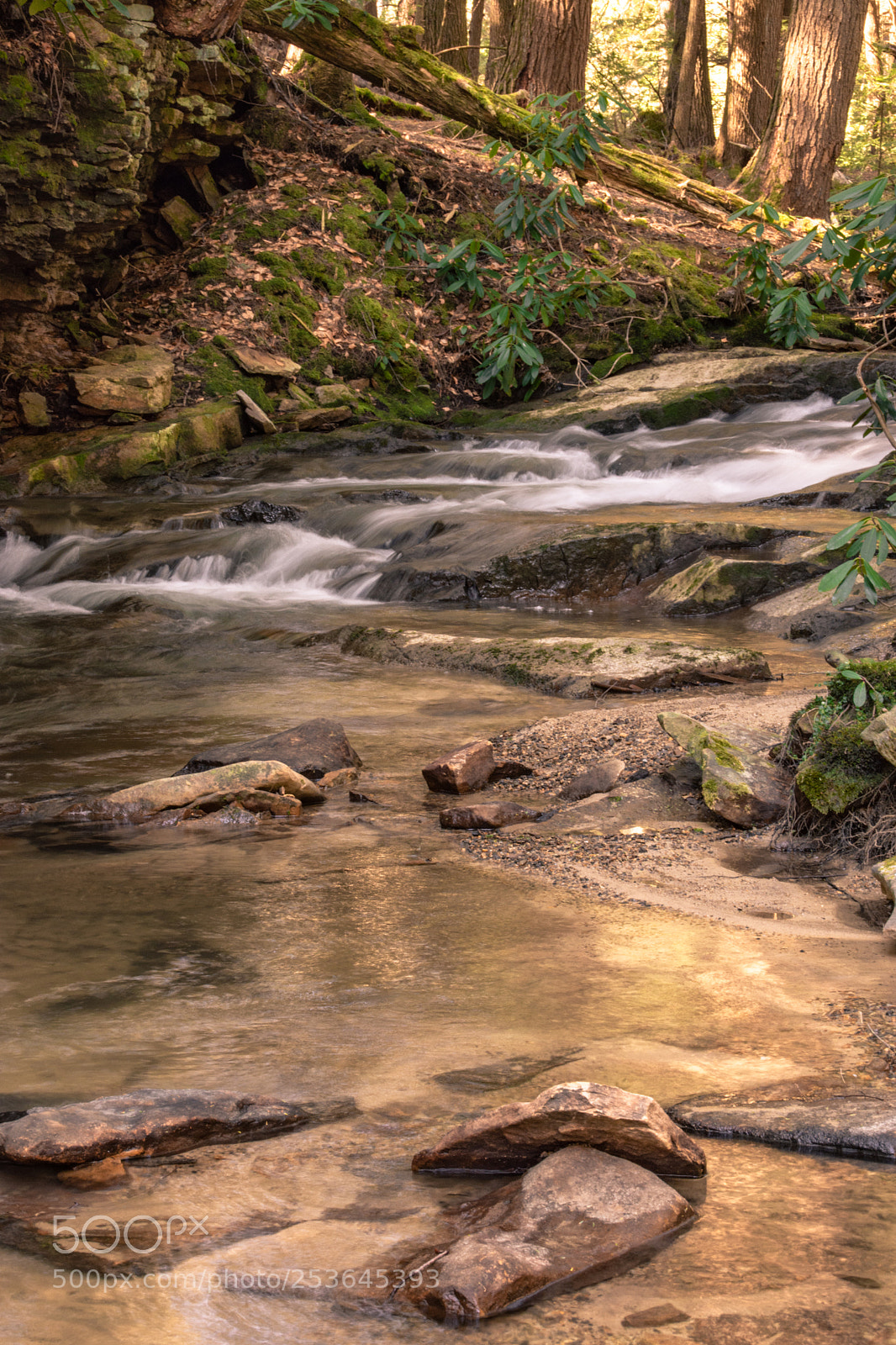 Nikon D7200 sample photo. Tolliver falls at swallow photography