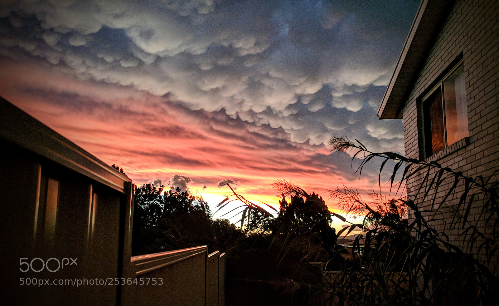 Google Pixel XL sample photo. Storm brewing from backyard photography