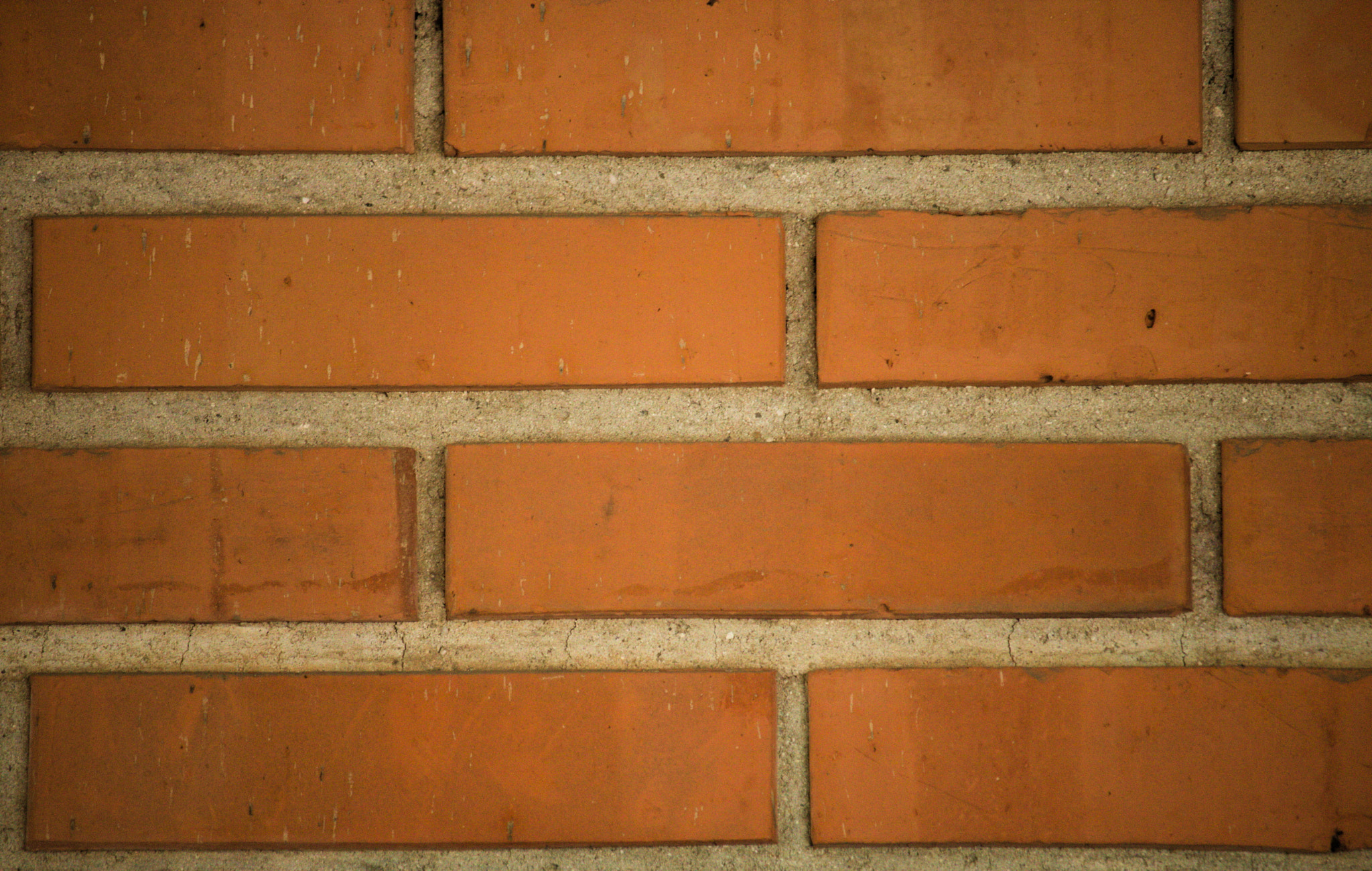 Canon EF-S 55-250mm F4-5.6 IS STM sample photo. Parede photography