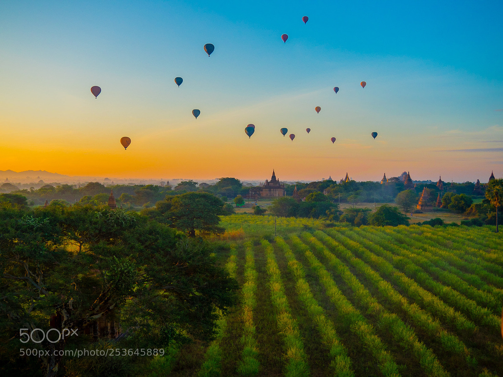 Olympus OM-D E-M5 II sample photo. Morning balloons - bagan photography