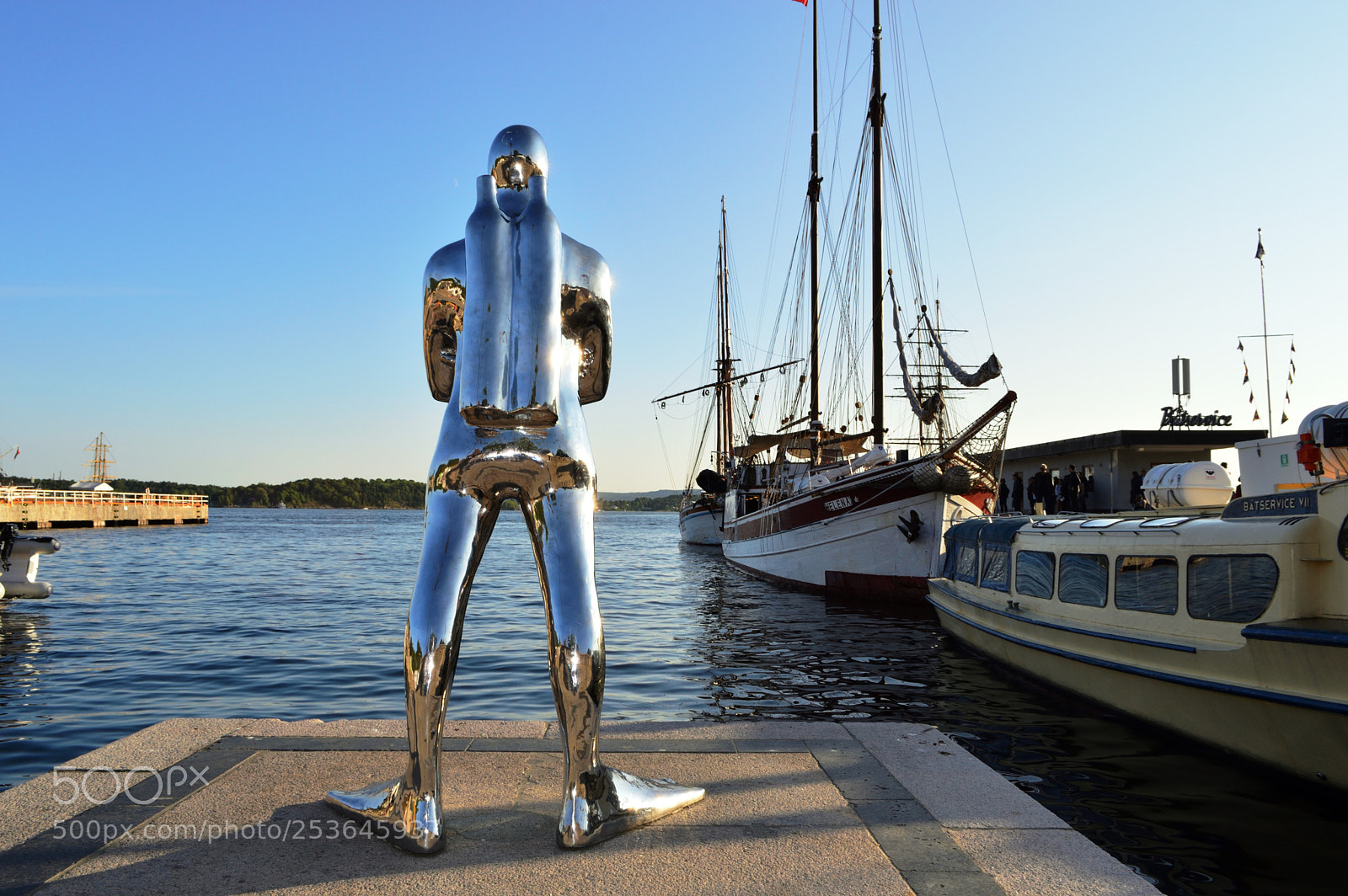 Nikon D3200 sample photo. Metallic diver photography