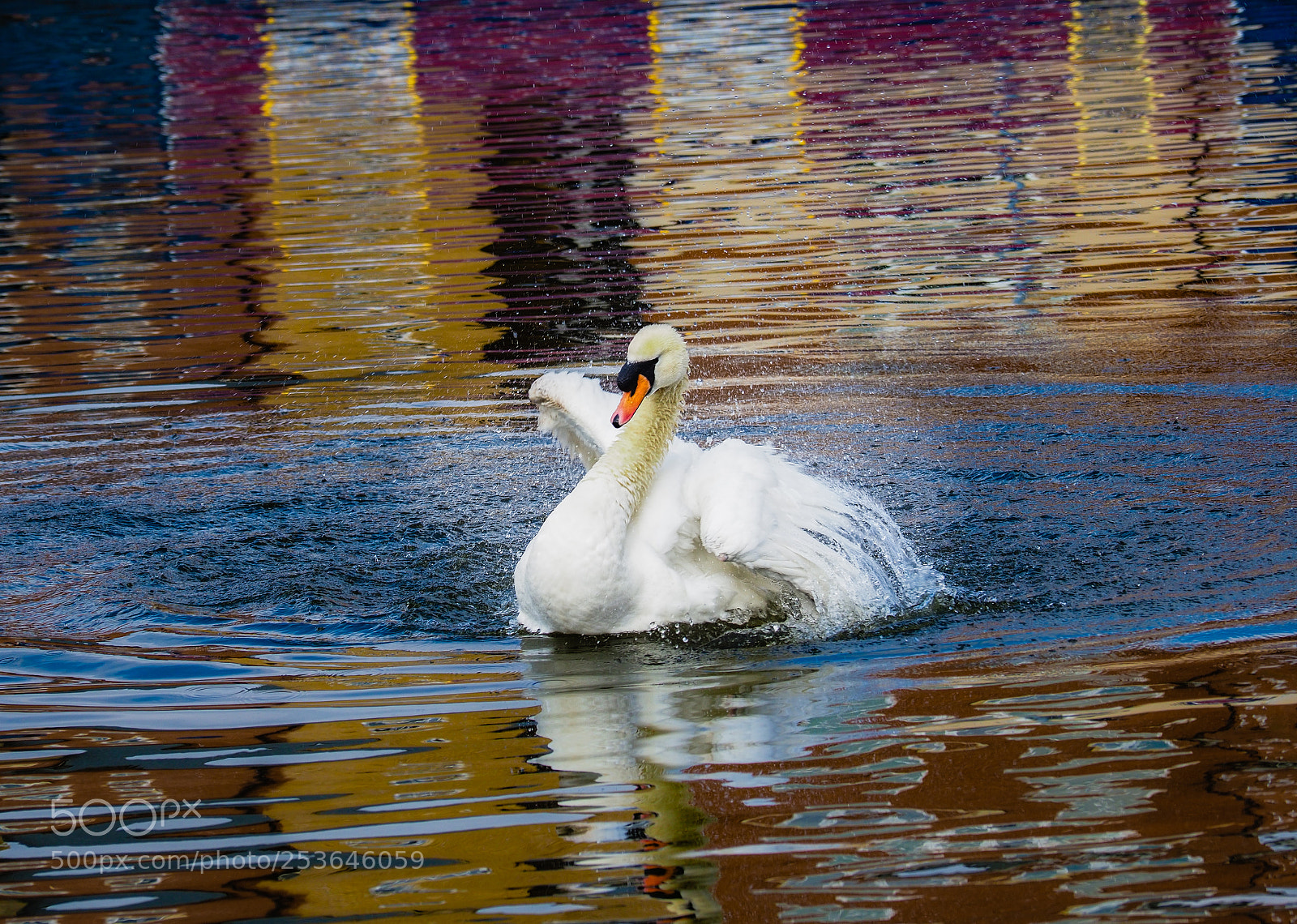 Olympus OM-D E-M1 Mark II sample photo. Bath time photography