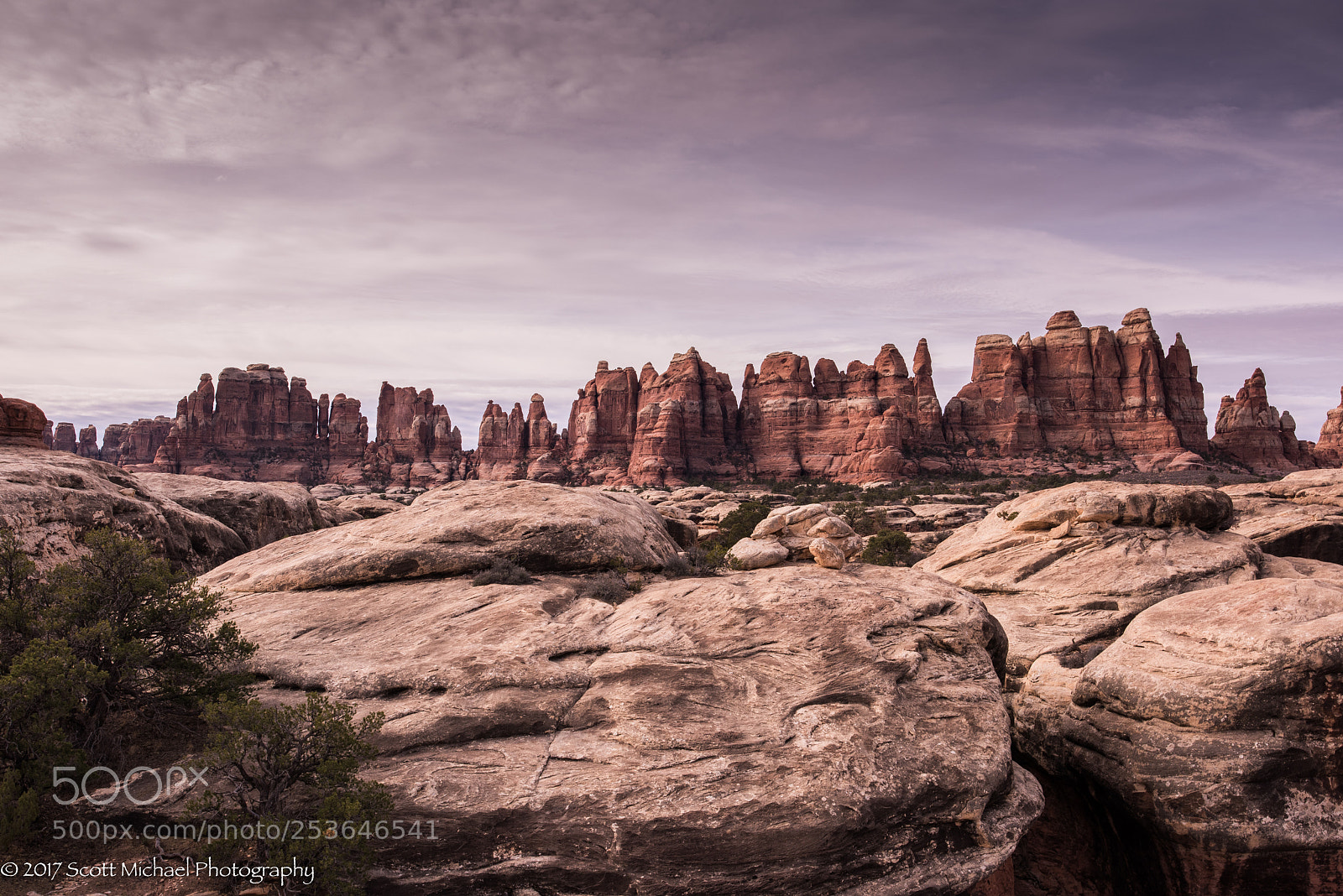 Nikon D810 sample photo. Needles photography