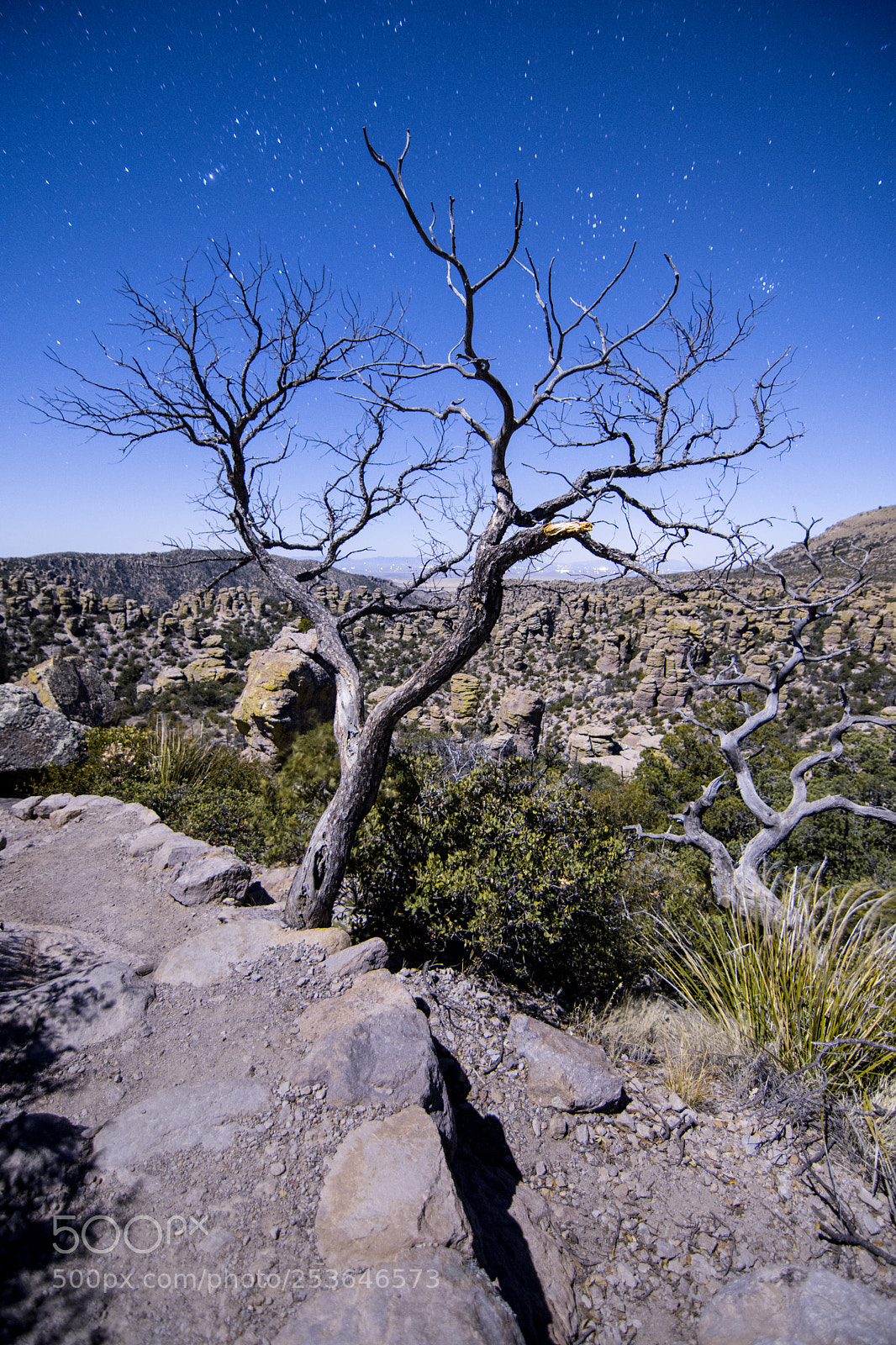 Nikon D7200 sample photo. Moonscape photography