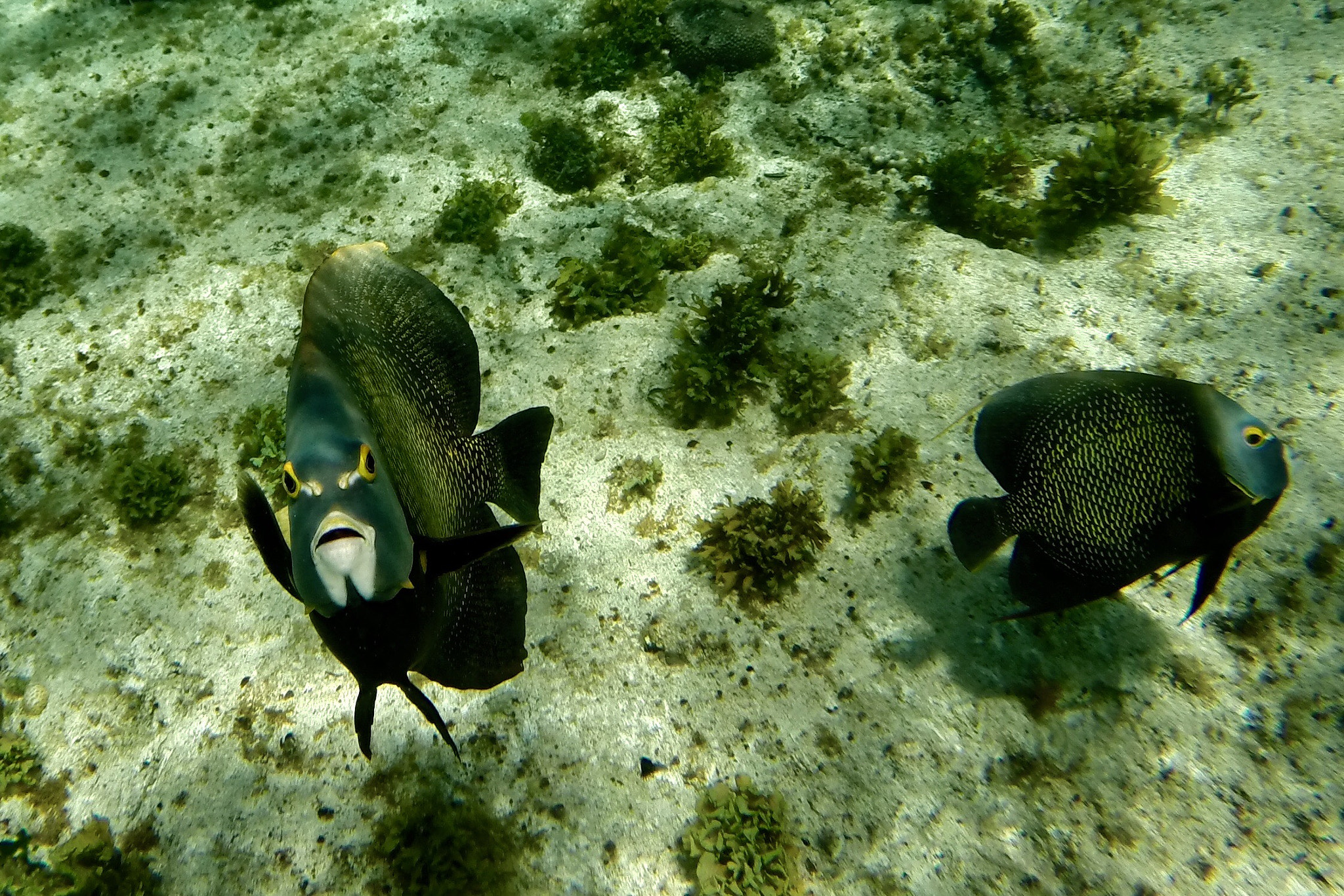 GoPro HERO3+ Black Edition sample photo