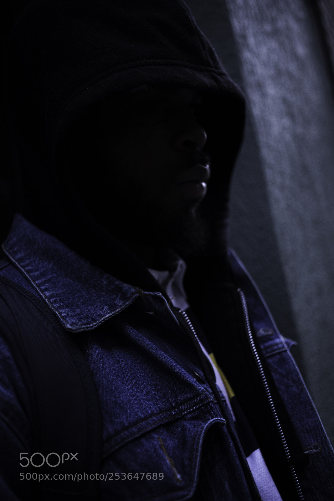 Canon EOS 5D Mark IV sample photo. Dark okami photography