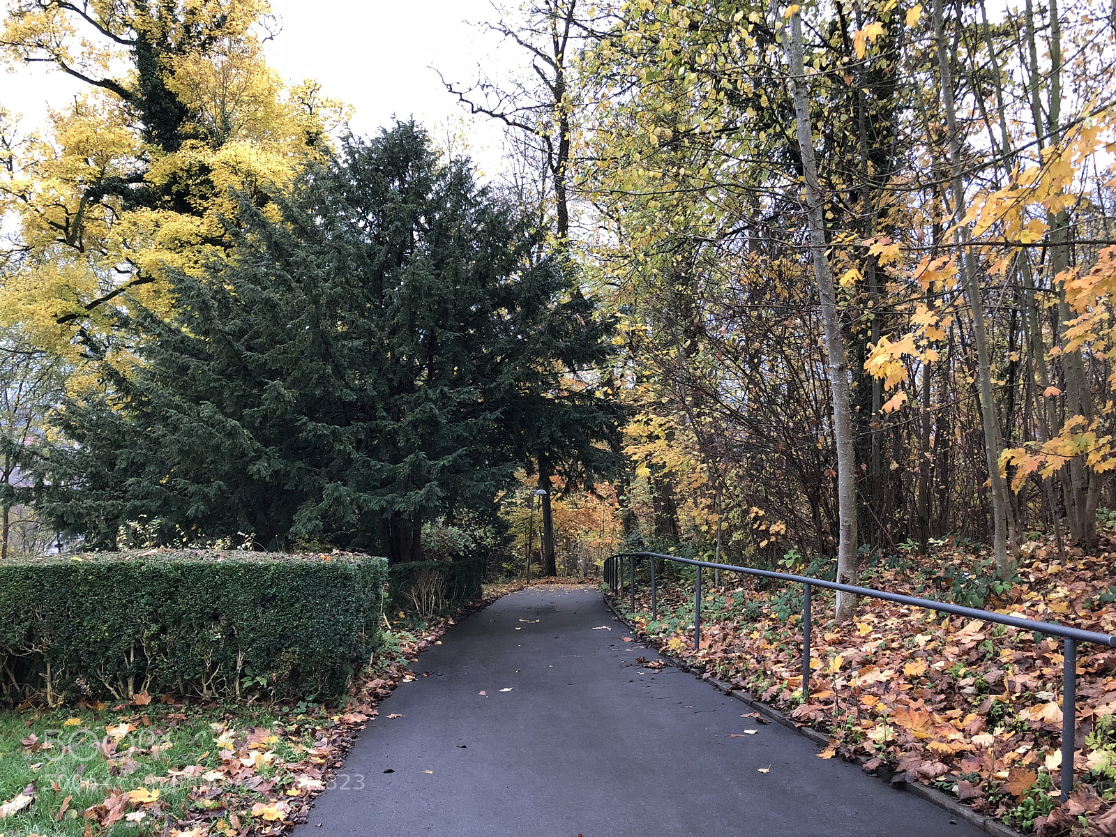 Apple iPhone 8 sample photo. Autumn photography
