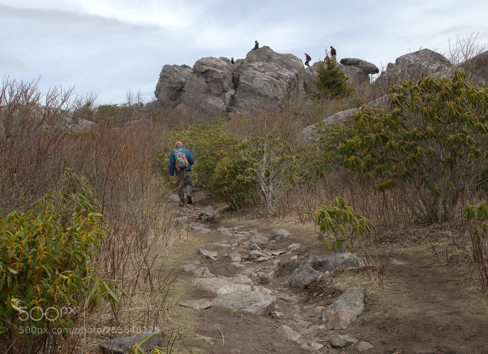 Nikon D5100 sample photo. Ponies, state park photography