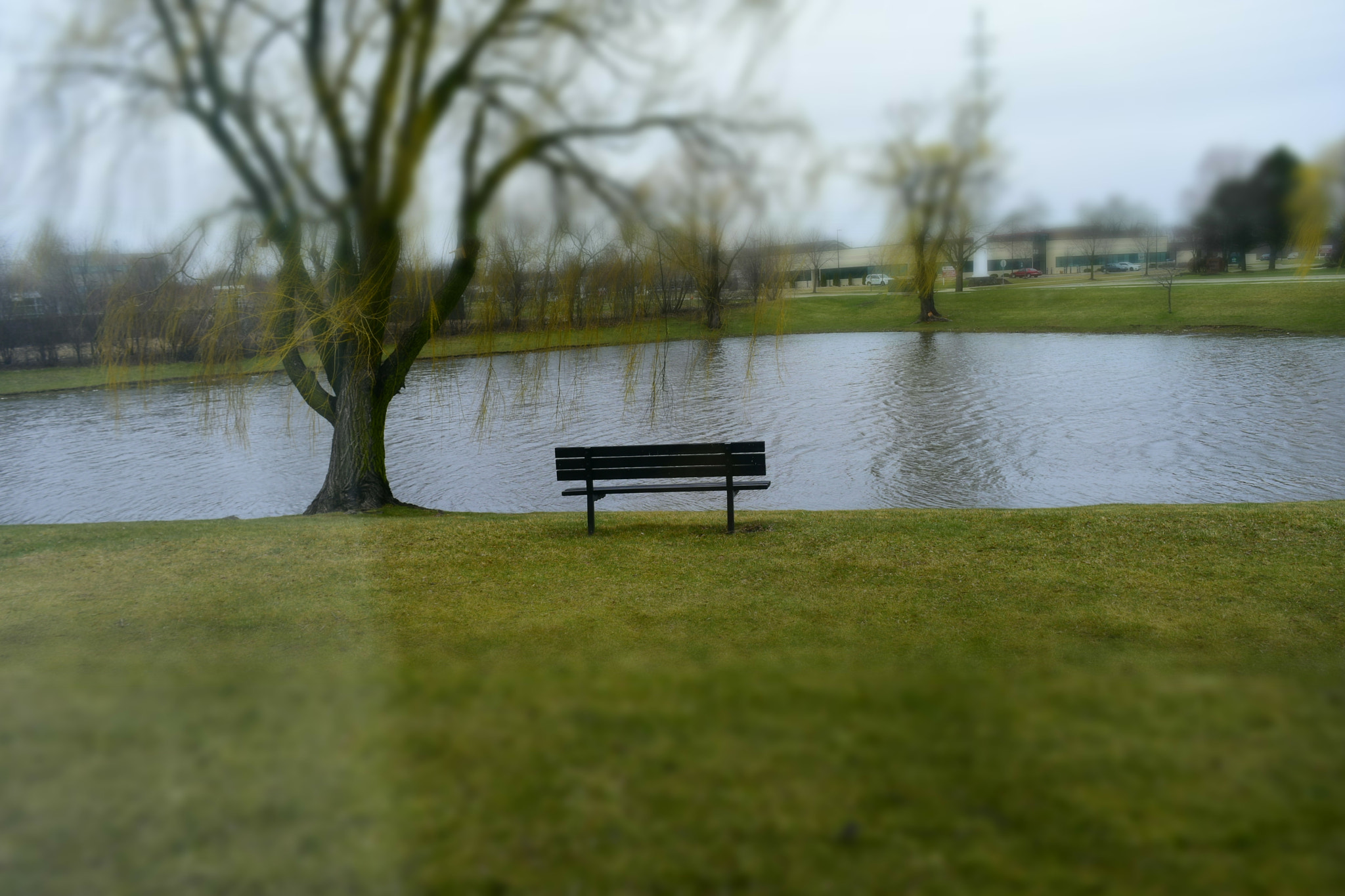 Nikon D7200 sample photo. The look out of window photography