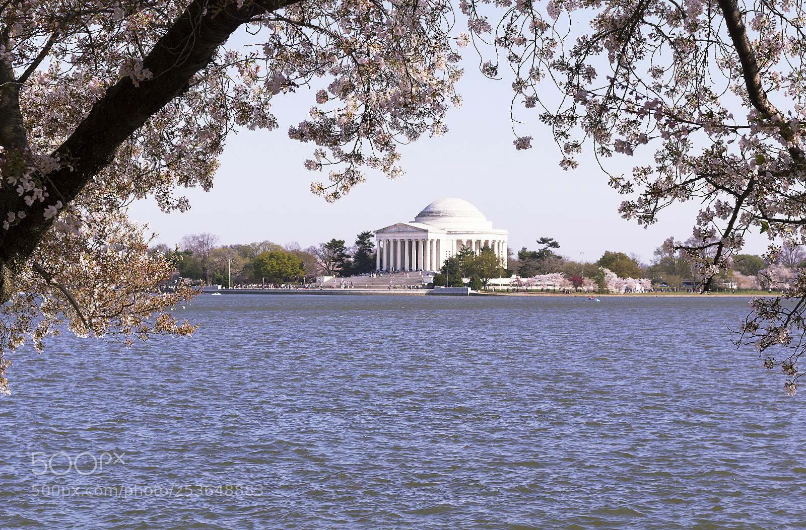 Canon EOS 1200D (EOS Rebel T5 / EOS Kiss X70 / EOS Hi) sample photo. Jefferson memorial and cherry photography