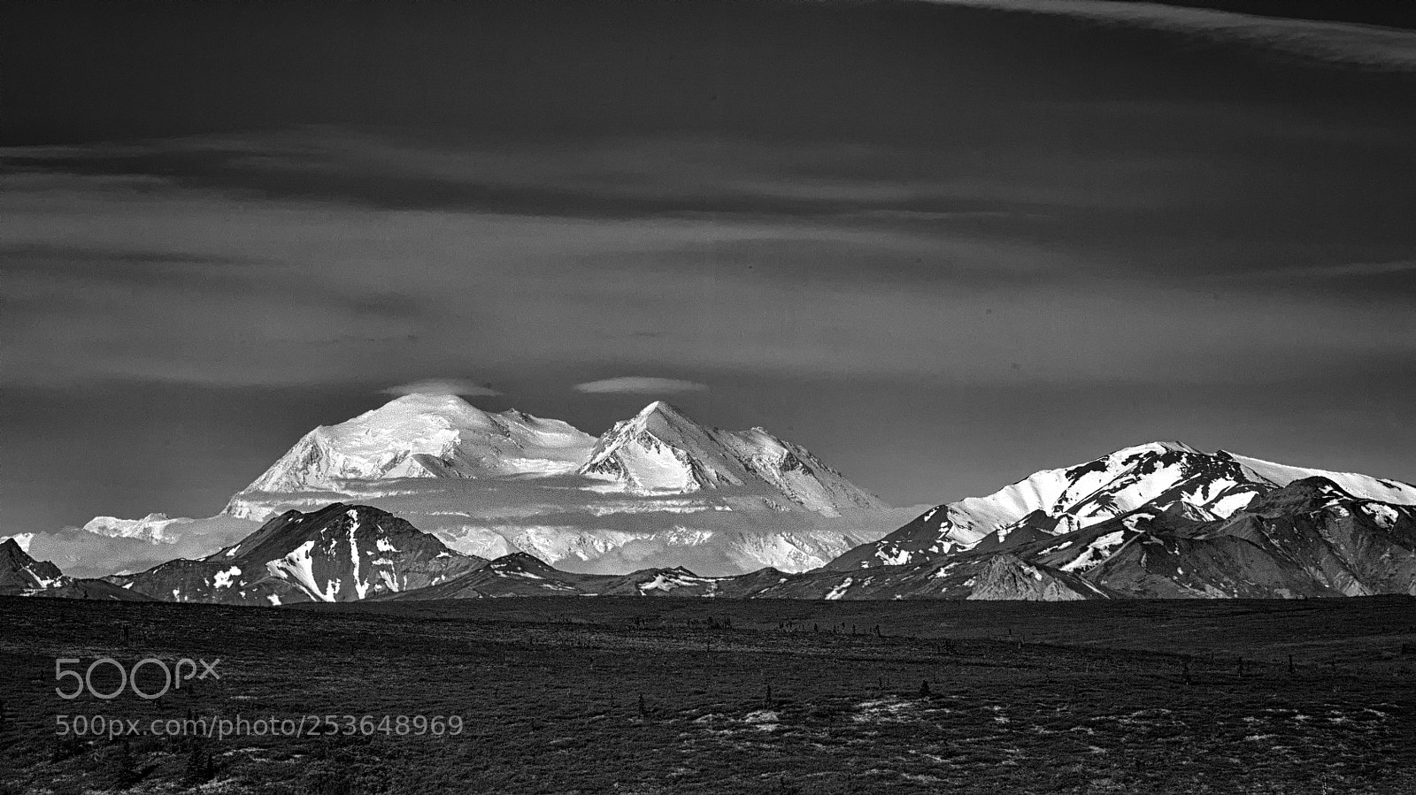 Canon EOS 5D Mark II sample photo. Denali b&w photography